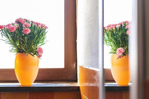 Nonna Carmela Apartment Сант-Агата-суй-Дуе-Гольфі Екстер'єр фото